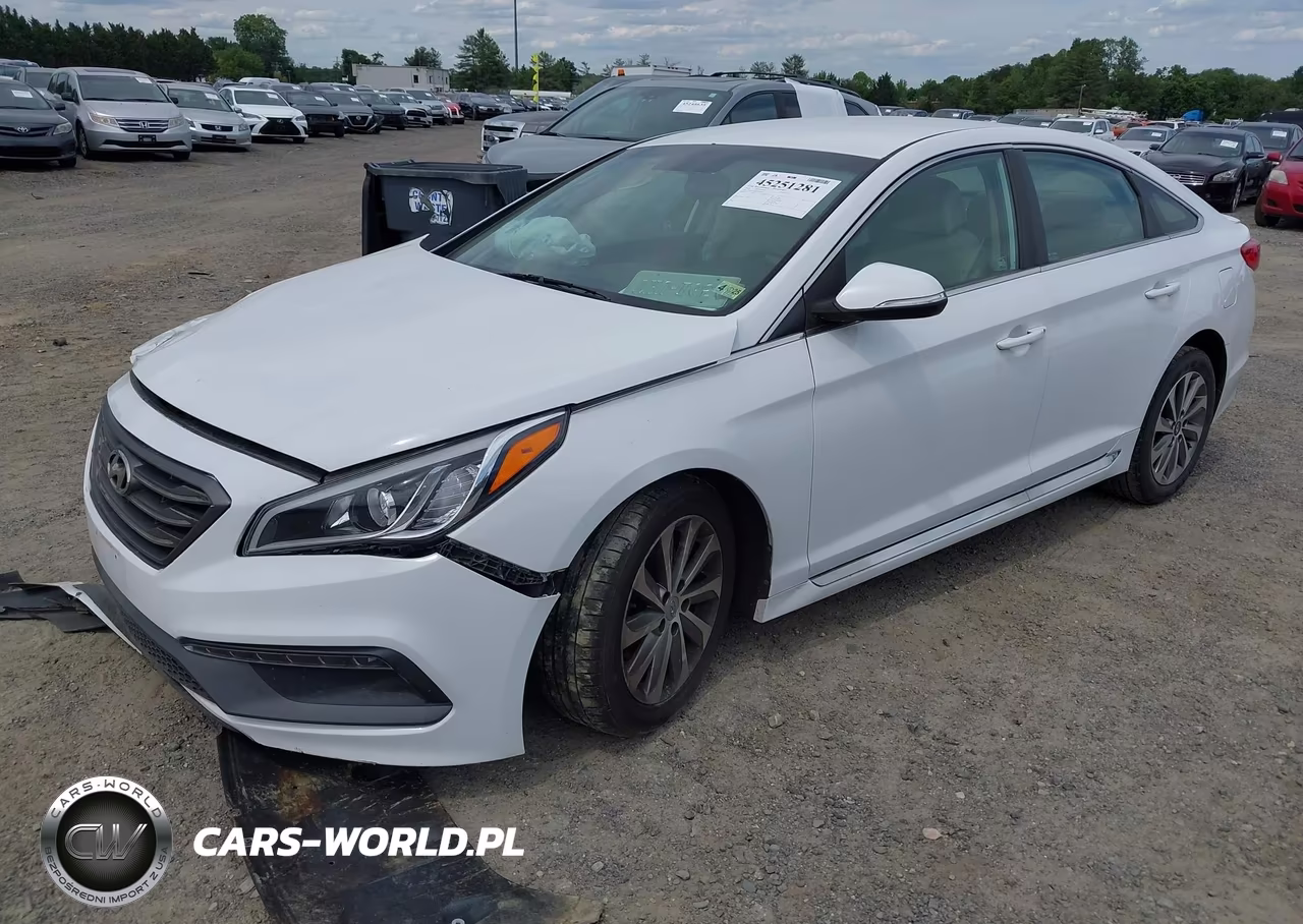 2016 Hyundai Sonata Sport VIN:5NPE34AF4GH299559 - 2