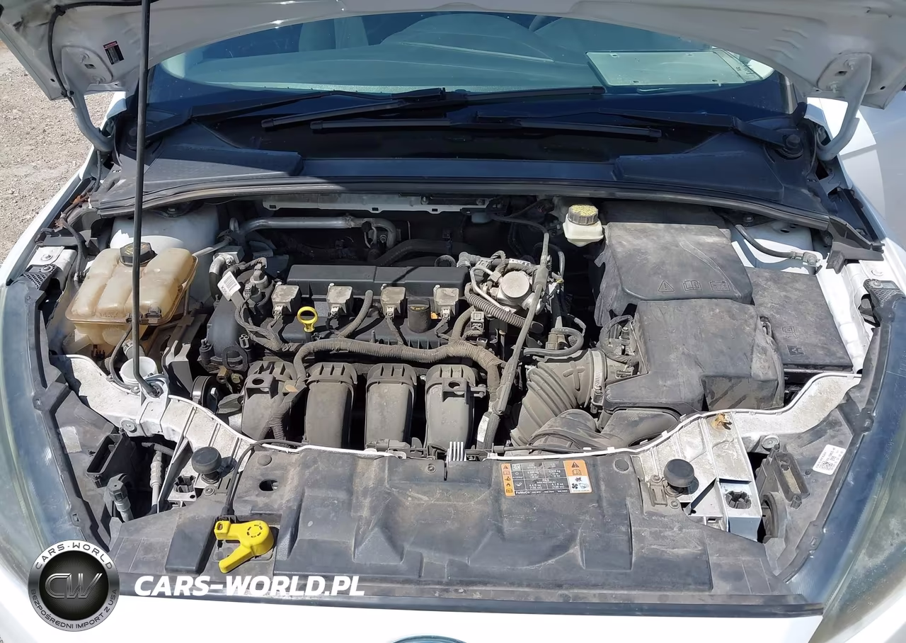 2017 Ford Focus Sel VIN:1FADP3H21HL237097 - 10