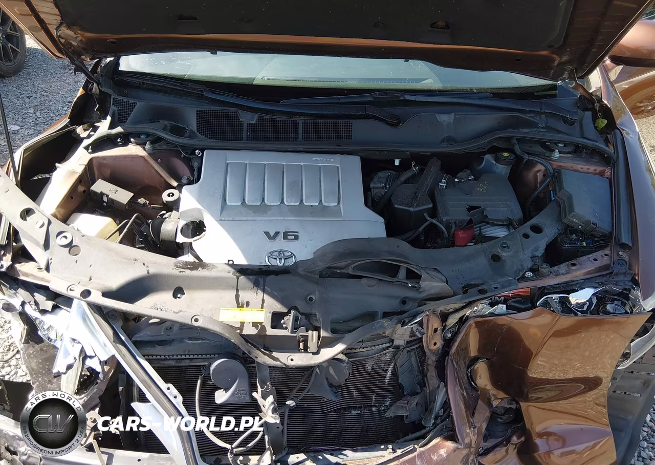2009 Toyota Venza Awd V6 VIN:4T3BK11A39U014144 - 10