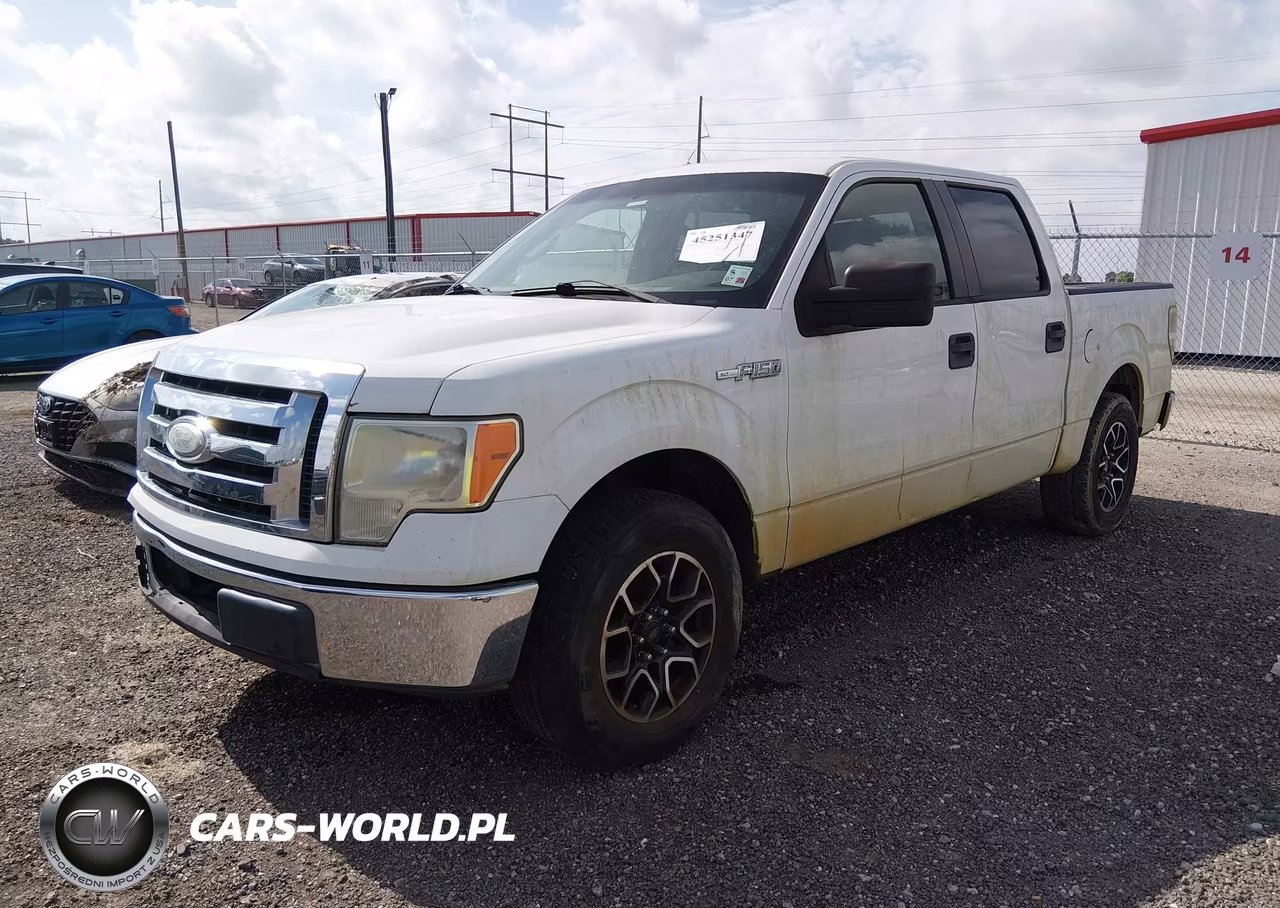 2009 Ford F-150 Xl-Xlt VIN:1FTRW12899FA81704 - 2