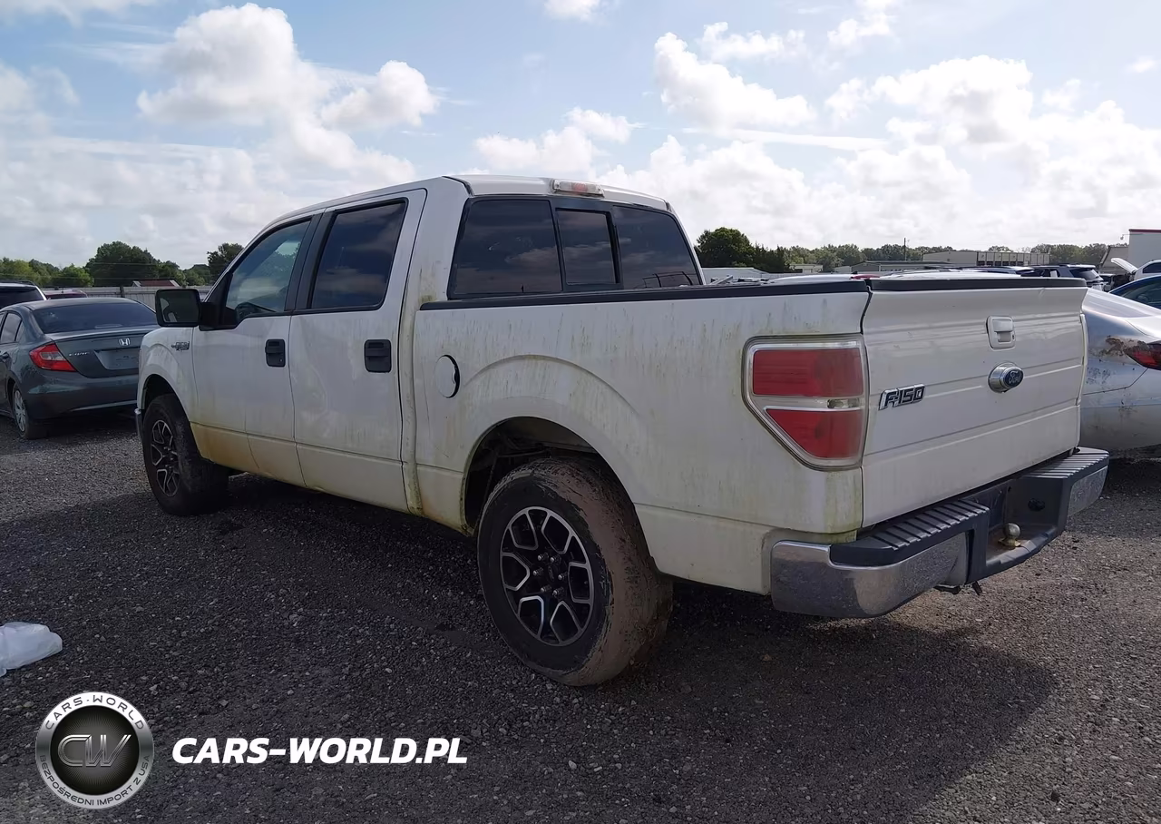 2009 Ford F-150 Xl-Xlt VIN:1FTRW12899FA81704 - 3