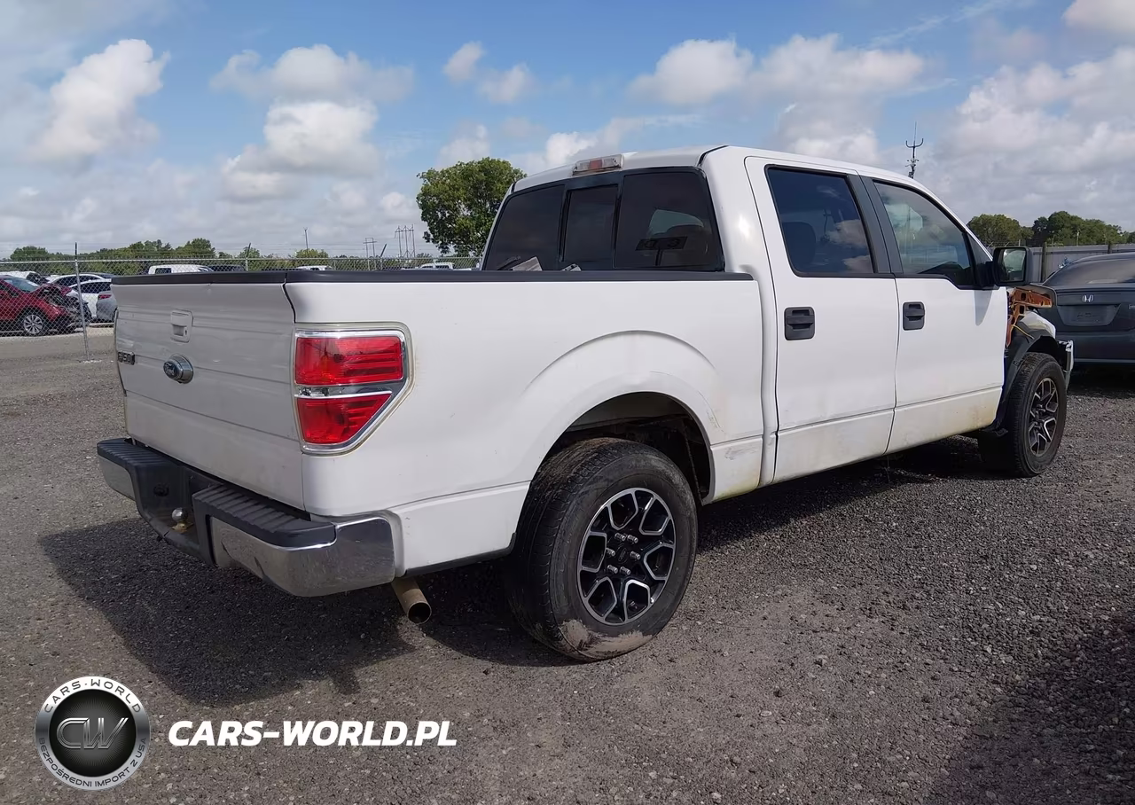 2009 Ford F-150 Xl-Xlt VIN:1FTRW12899FA81704 - 4