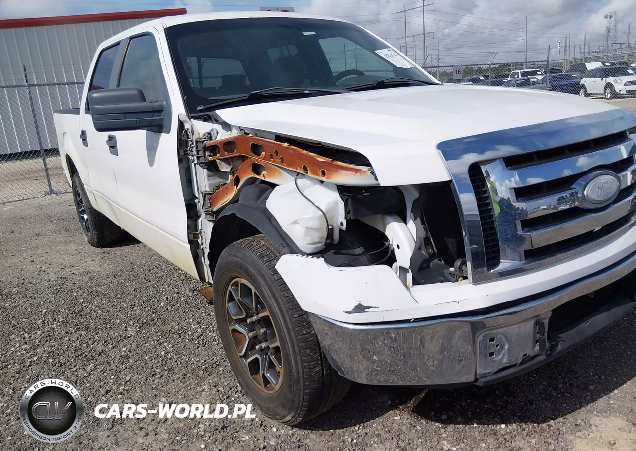 2009 Ford F-150 Xl-Xlt VIN:1FTRW12899FA81704 - 6