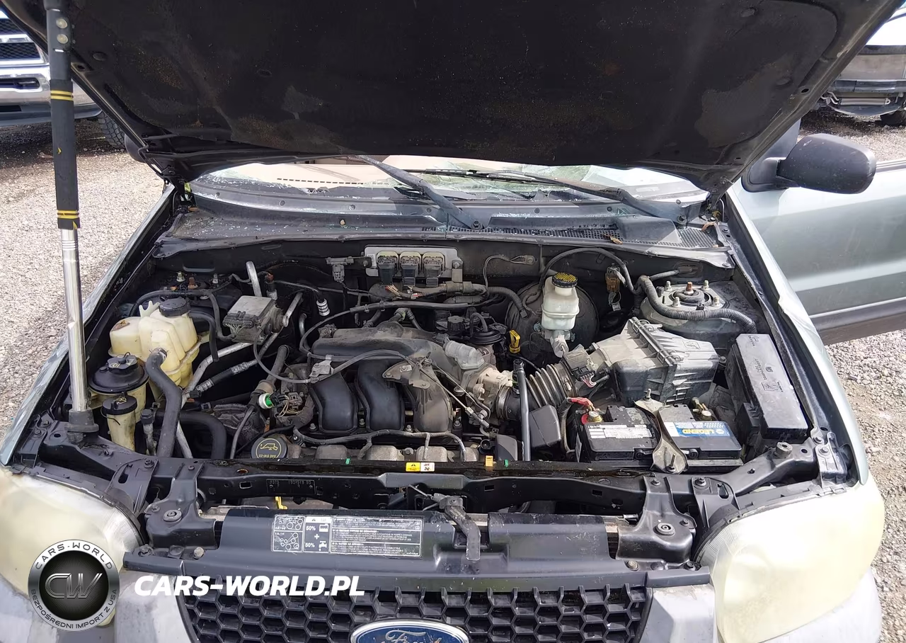 2005 Ford Escape Xlt VIN:1FMYU031X5KA88235 - 10