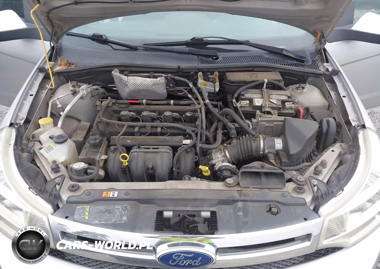 2011 Ford Focus Sel VIN:1FAHP3HN0BW158876 - 10