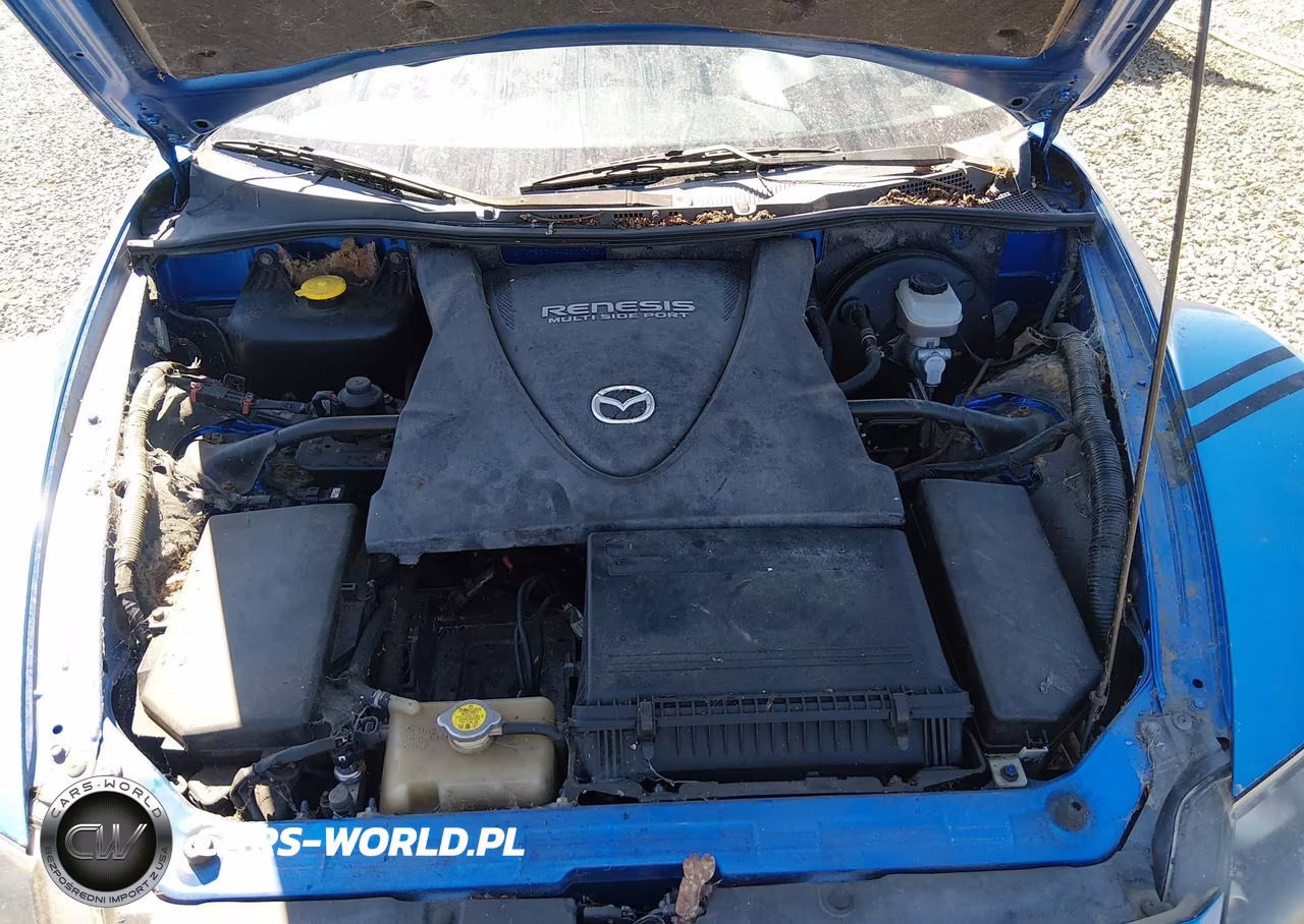 2004 Mazda Rx-8 Sport Automatic VIN:JM1FE17N440117704 - 10