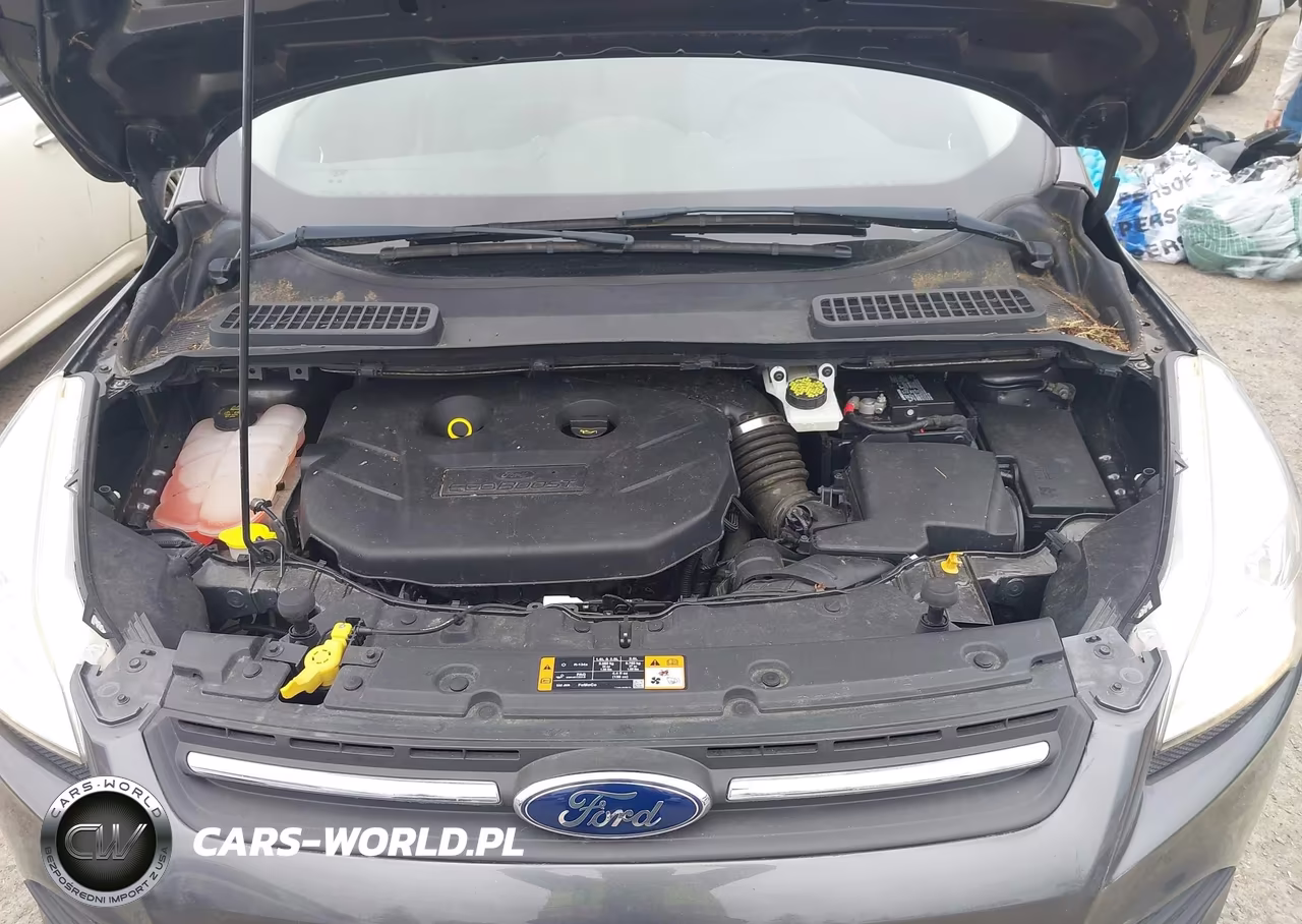 2015 Ford Escape Se VIN:1FMCU9G99FUC67712 - 10