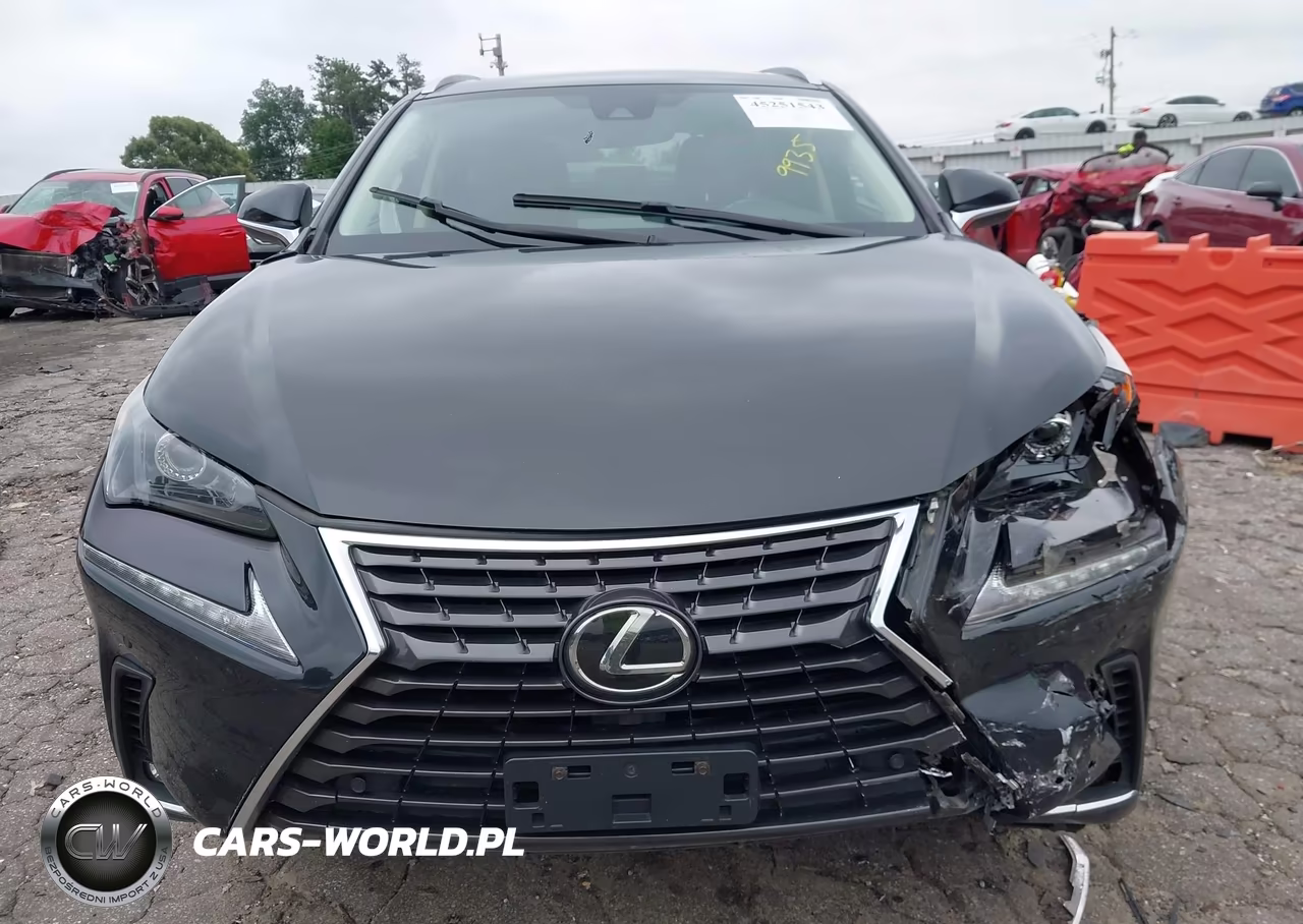 2021 Lexus Nx 300 VIN:JTJDARDZ0M2249935 - 12