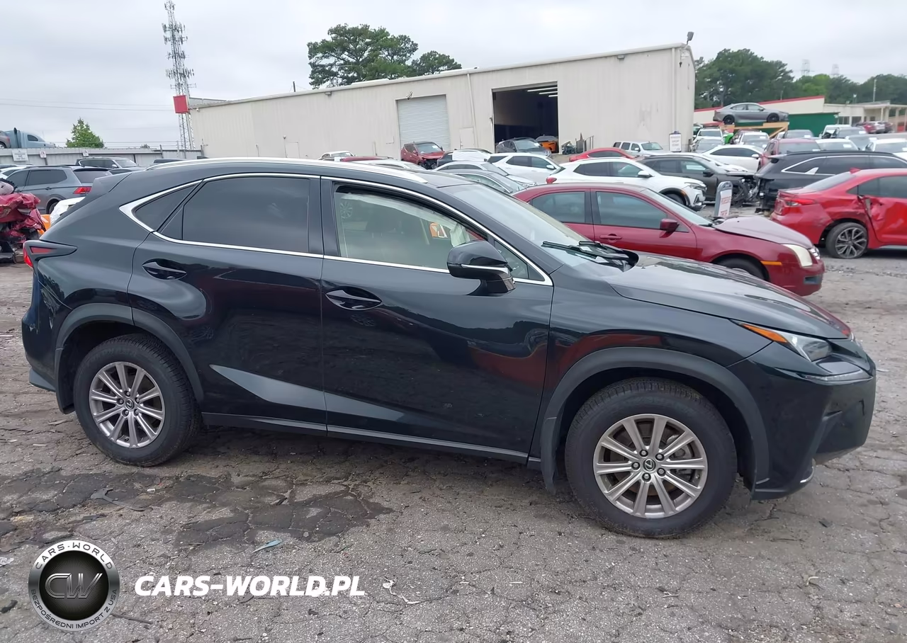 2021 Lexus Nx 300 VIN:JTJDARDZ0M2249935 - 13