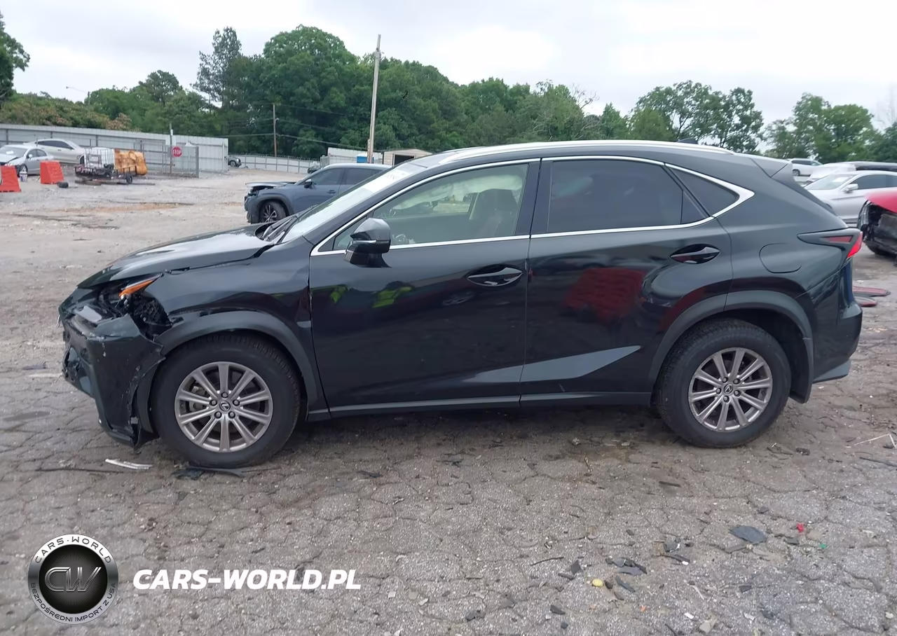 2021 Lexus Nx 300 VIN:JTJDARDZ0M2249935 - 14