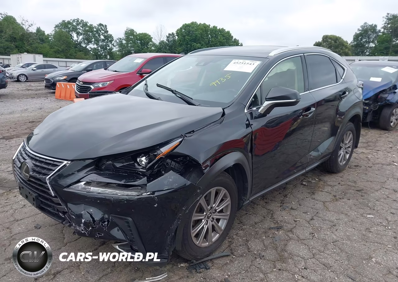 2021 Lexus Nx 300 VIN:JTJDARDZ0M2249935 - 2