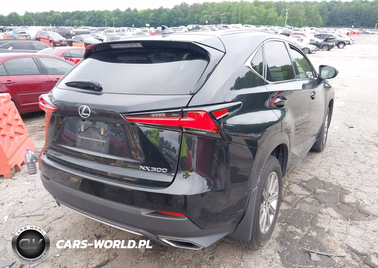 2021 Lexus Nx 300 VIN:JTJDARDZ0M2249935 - 4