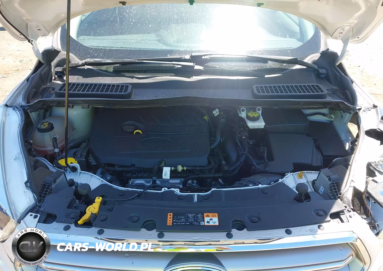 2017 Ford Escape Titanium VIN:1FMCU0JD7HUC47664 - 10