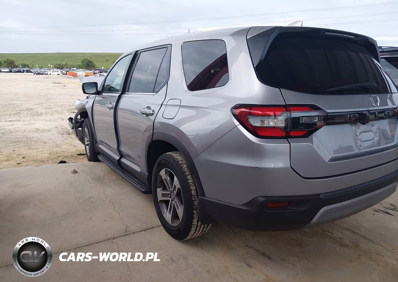 2024 Honda Pilot Ex-L 7 Passenger VIN:5FNYG2H51RB002039 - 3