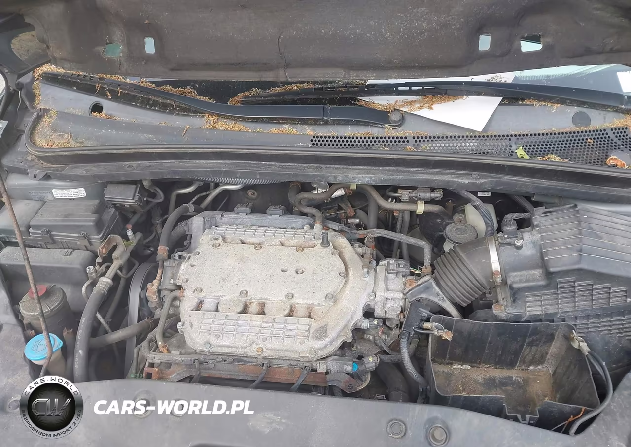 2007 Honda Odyssey Ex-L VIN:5FNRL38637B440816 - 10