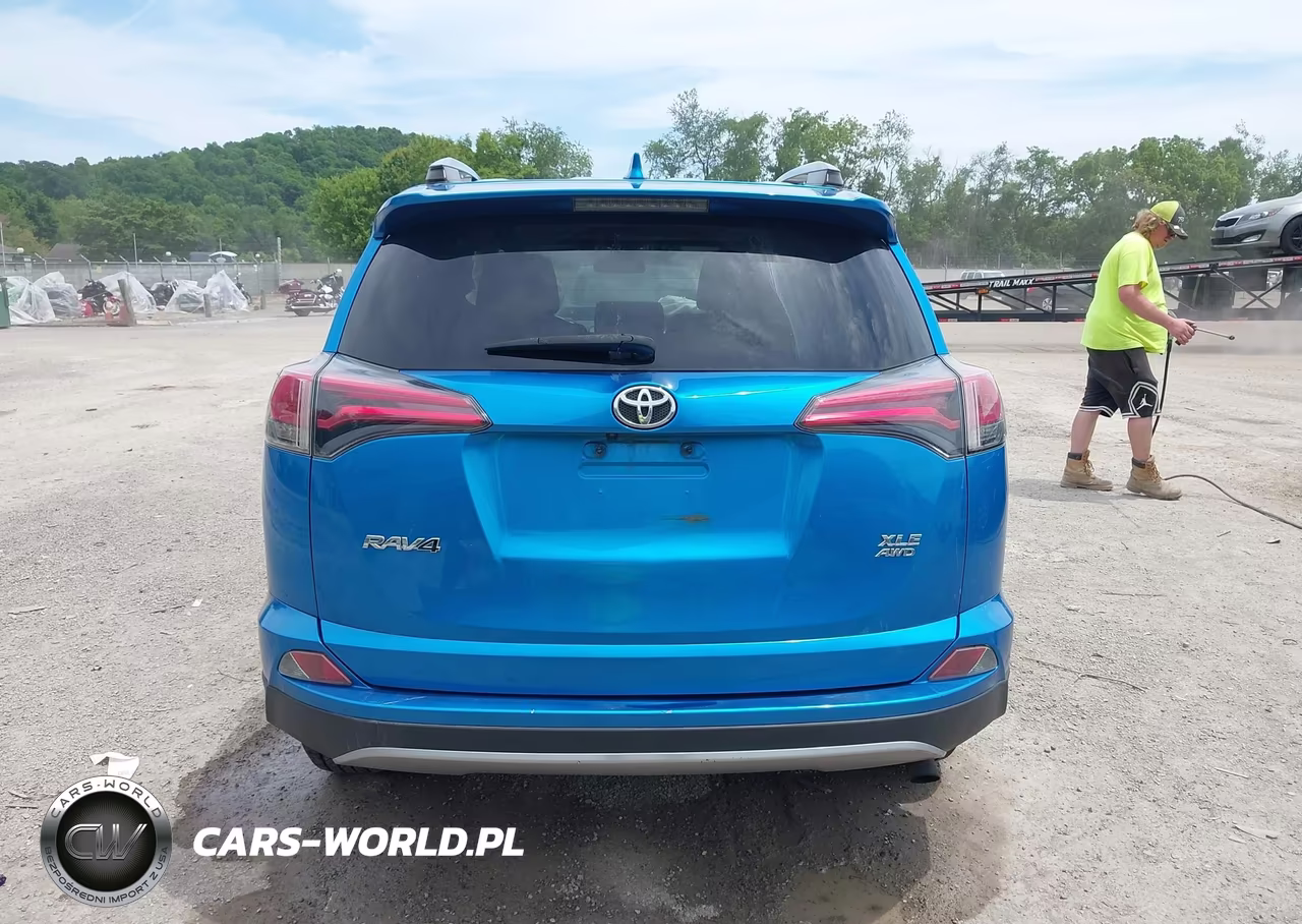 2017 Toyota Rav4 Xle VIN:JTMRFREV5HD199646 - 16