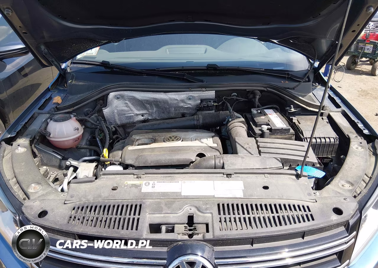 2017 Volkswagen Tiguan 2.0T-2.0T S VIN:WVGBV7AX4HK053679 - 10