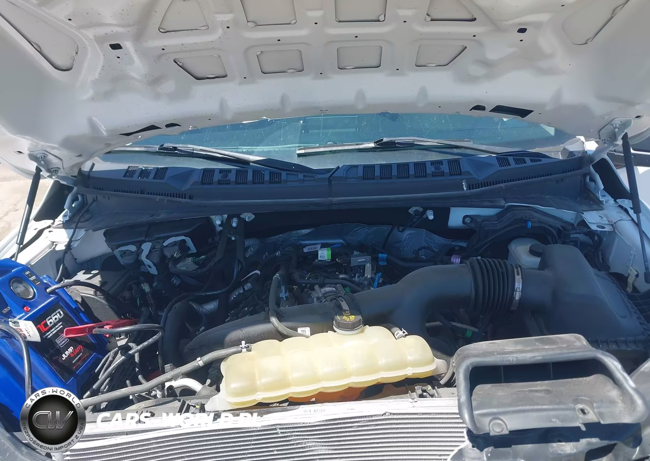 2019 Ford F-150 Xl VIN:1FTEW1EP9KKD23146 - 10