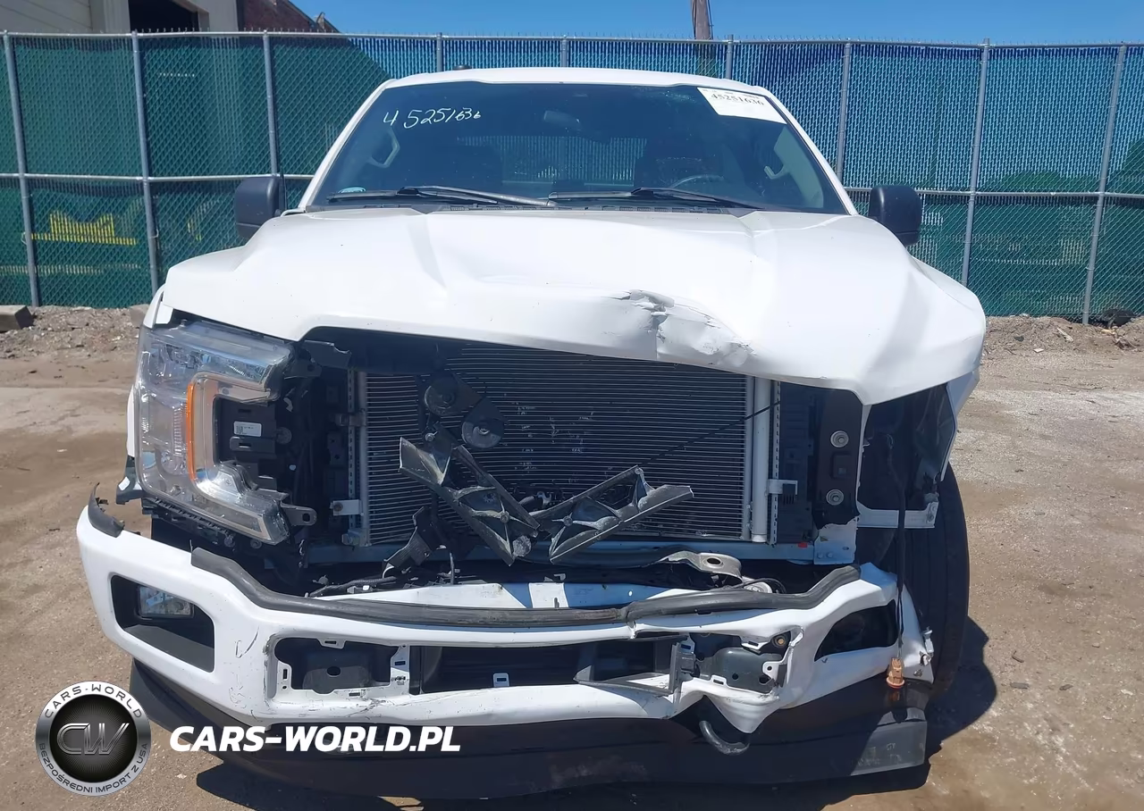 2019 Ford F-150 Xl VIN:1FTEW1EP9KKD23146 - 13