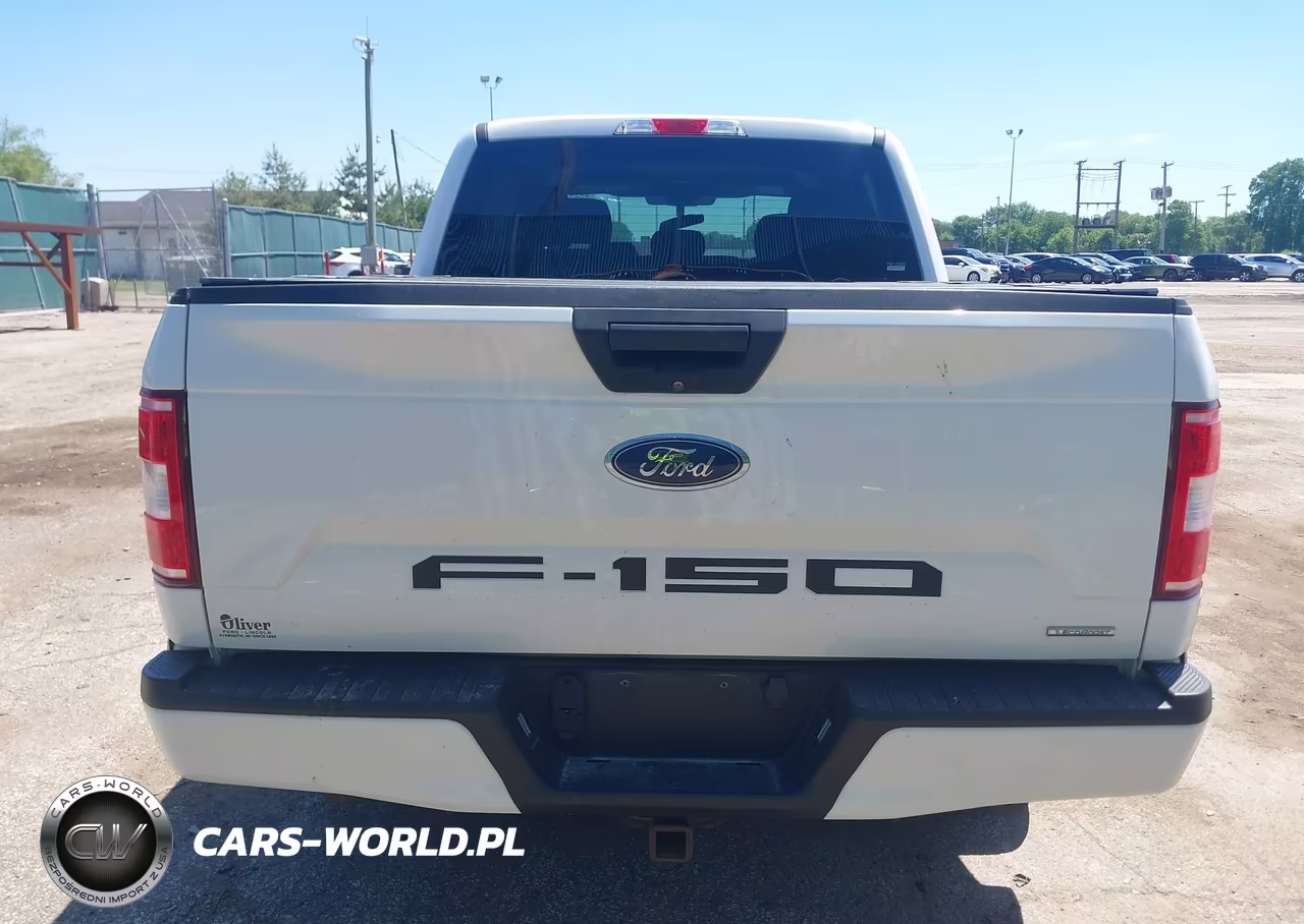 2019 Ford F-150 Xl VIN:1FTEW1EP9KKD23146 - 17