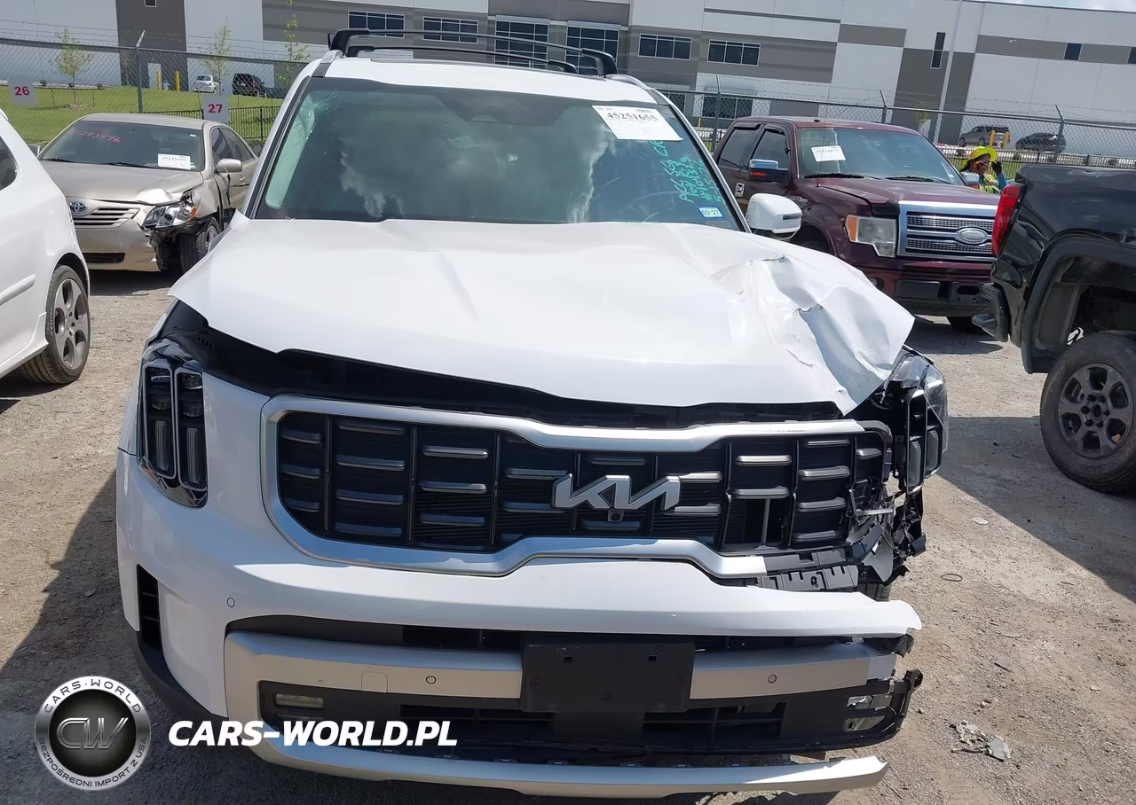 2024 Kia Telluride Sx Prestige VIN:5XYP5DGC9RG487391 - 12