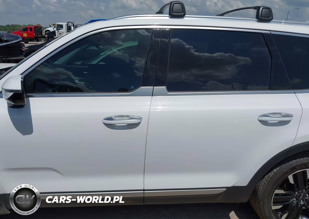 2024 Kia Telluride Sx Prestige VIN:5XYP5DGC9RG487391 - 14