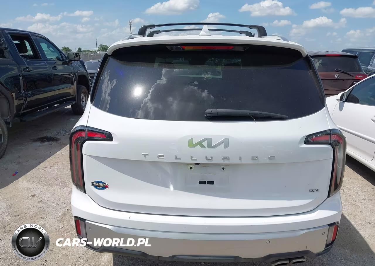 2024 Kia Telluride Sx Prestige VIN:5XYP5DGC9RG487391 - 16