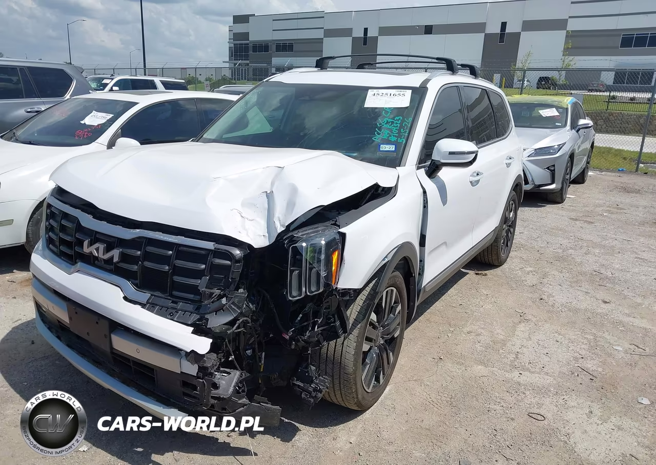 2024 Kia Telluride Sx Prestige VIN:5XYP5DGC9RG487391 - 2