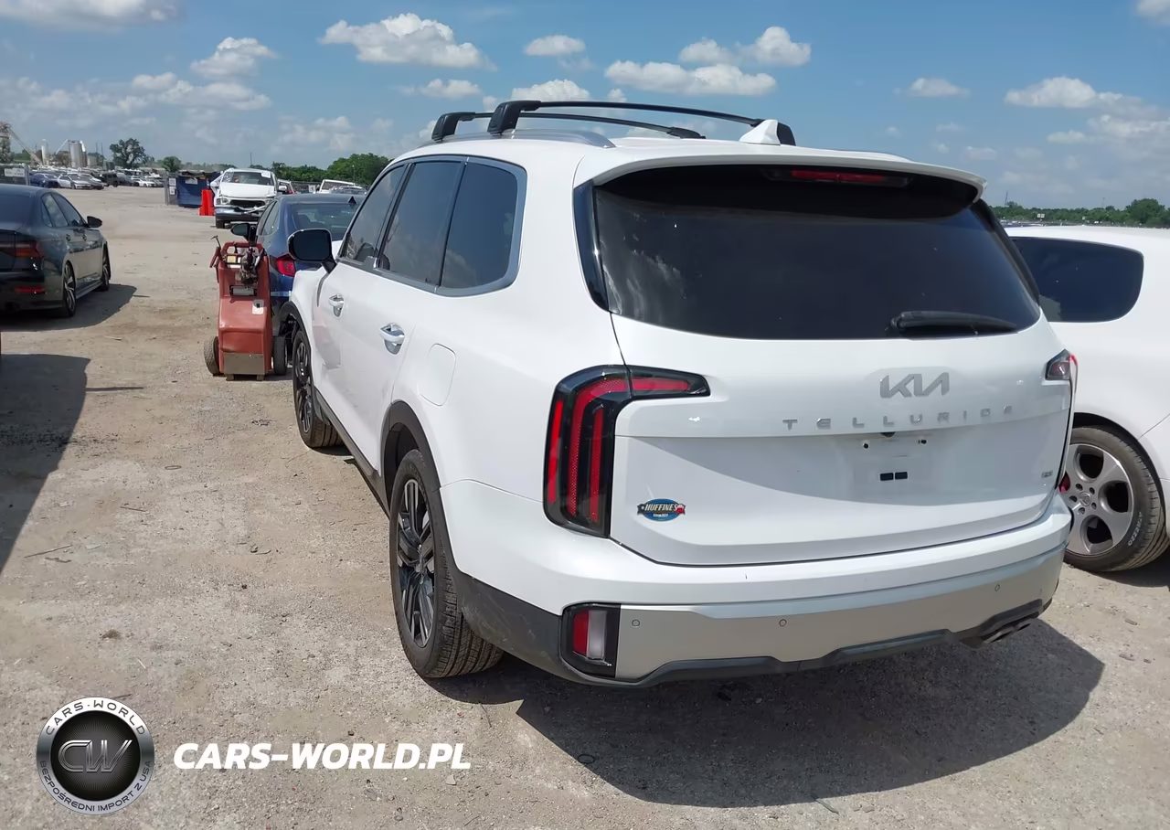 2024 Kia Telluride Sx Prestige VIN:5XYP5DGC9RG487391 - 3