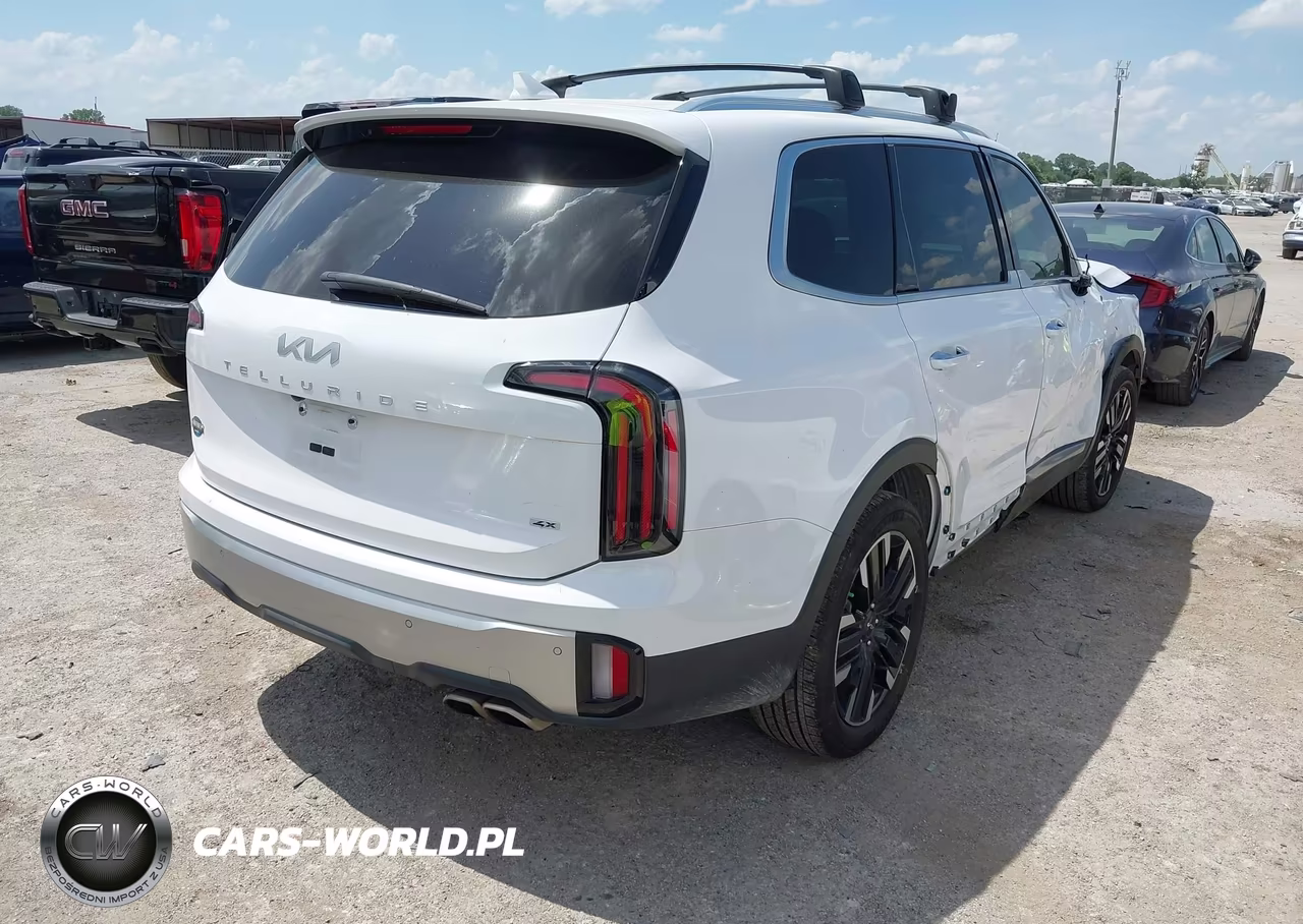 2024 Kia Telluride Sx Prestige VIN:5XYP5DGC9RG487391 - 4