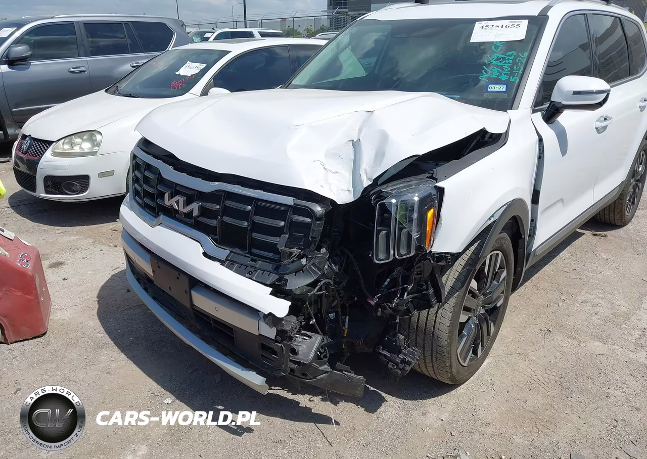 2024 Kia Telluride Sx Prestige VIN:5XYP5DGC9RG487391 - 6