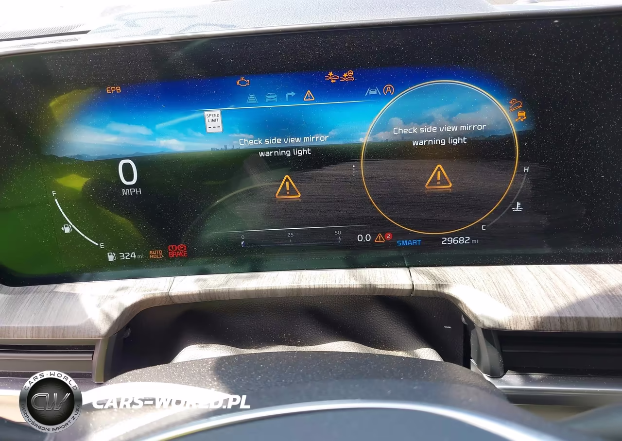 2024 Kia Telluride Sx Prestige VIN:5XYP5DGC9RG487391 - 7