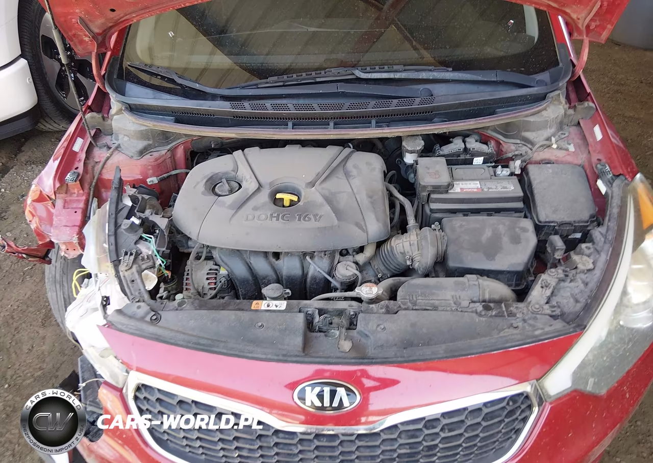 2016 Kia Forte Lx VIN:KNAFK4A65G5566549 - 10