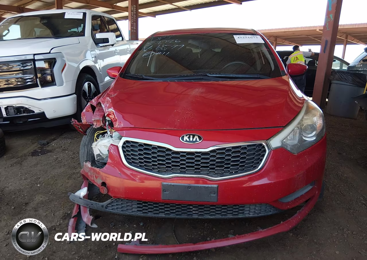 2016 Kia Forte Lx VIN:KNAFK4A65G5566549 - 12