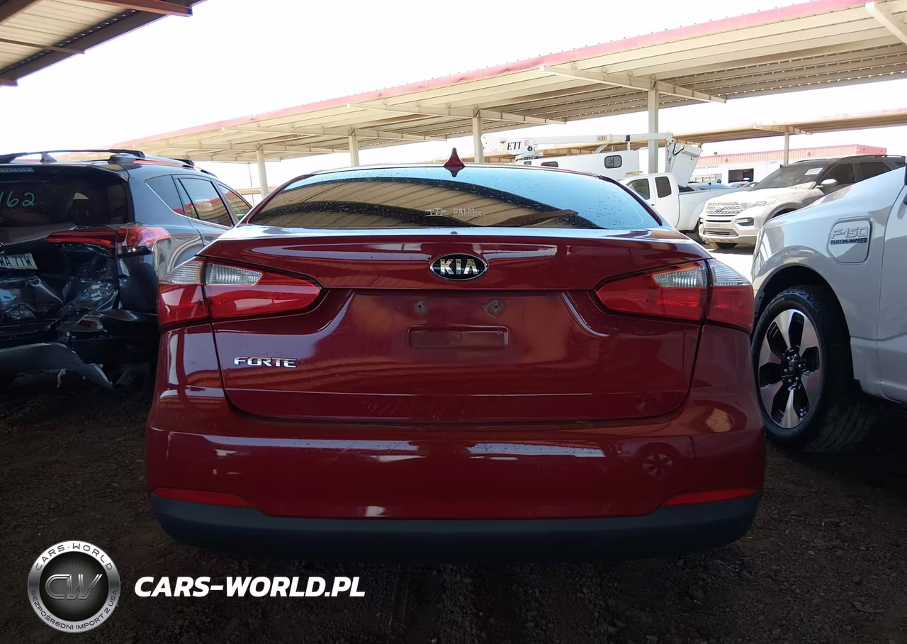 2016 Kia Forte Lx VIN:KNAFK4A65G5566549 - 16