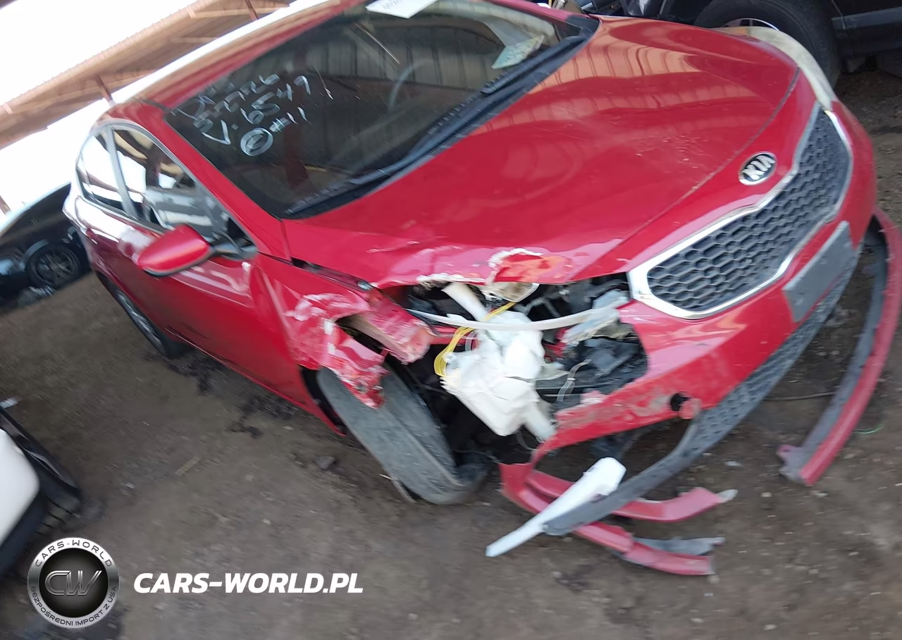 2016 Kia Forte Lx VIN:KNAFK4A65G5566549 - 6