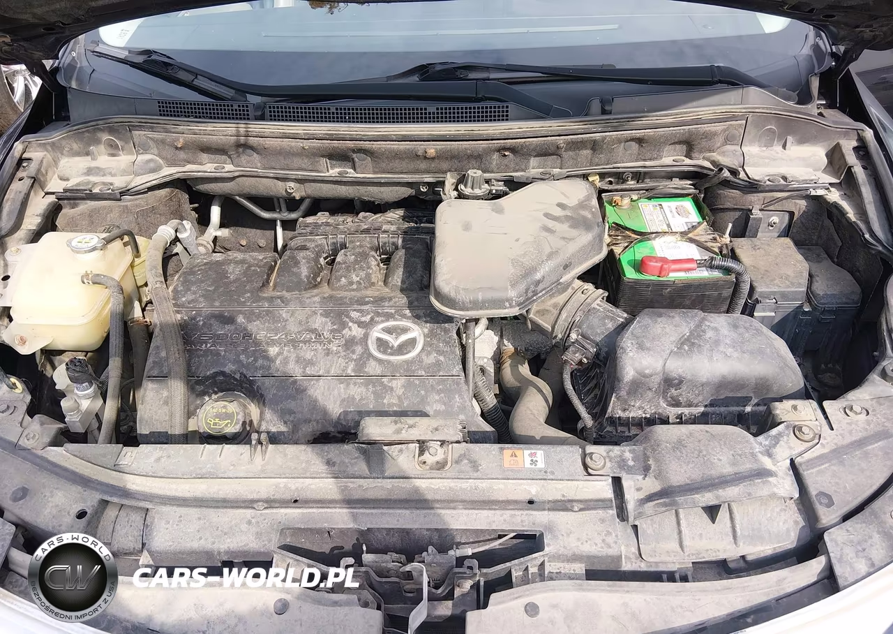 2010 Mazda Cx-9 Touring VIN:JM3TB3MA7A0216352 - 10