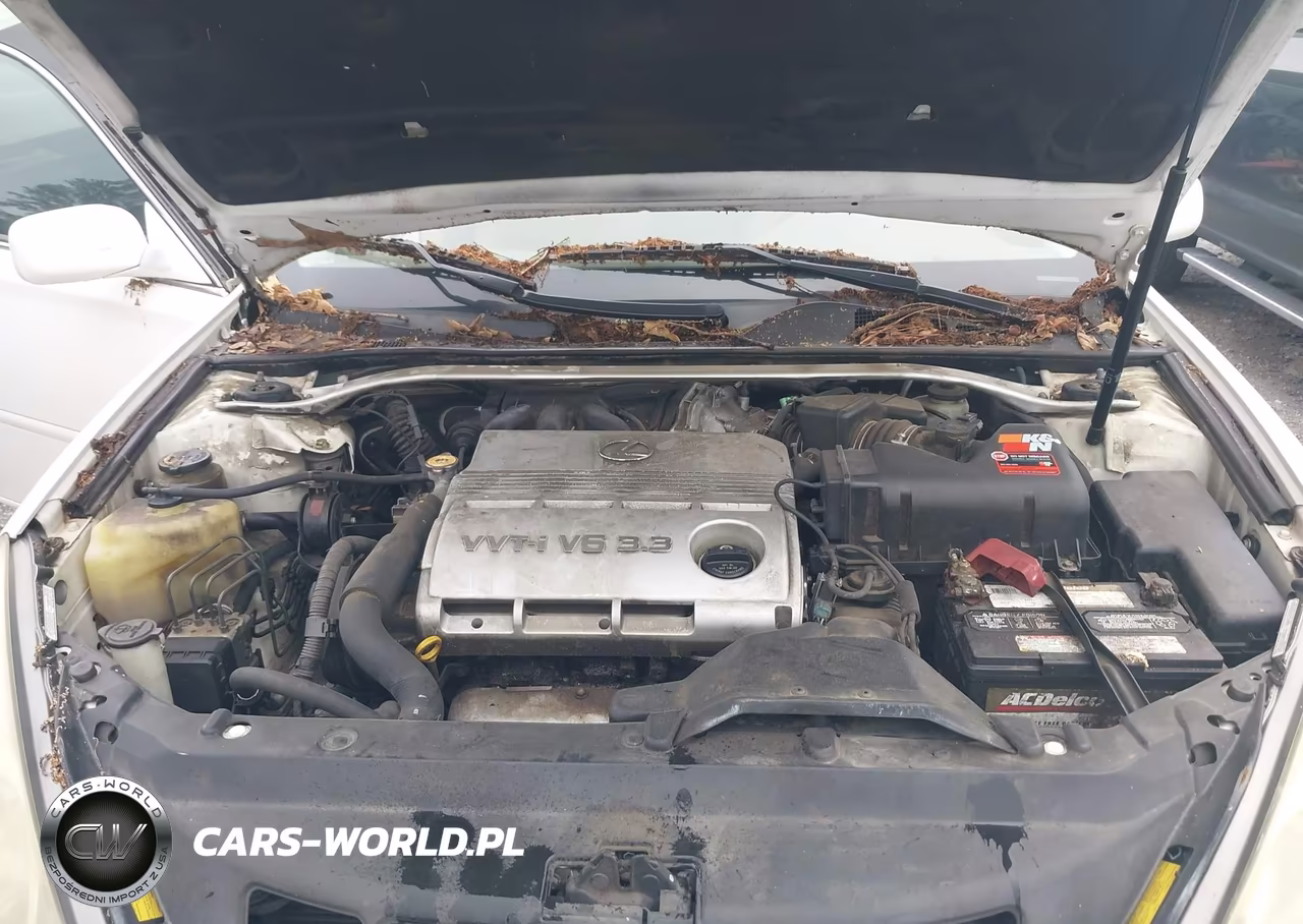 2006 Lexus Es 330 VIN:JTHBA30GX65172308 - 10