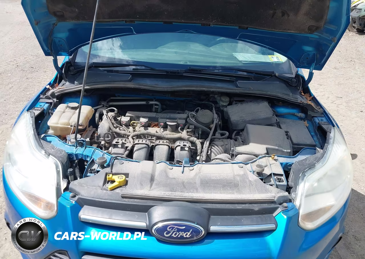 2014 Ford Focus Se VIN:1FADP3F24EL125375 - 10
