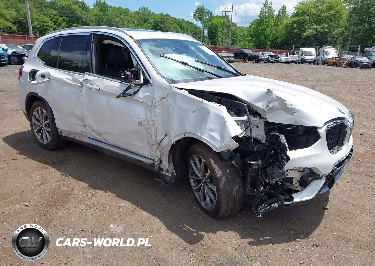 2019 BMW X3 xDrive30I – zdjęcie 1 z 17