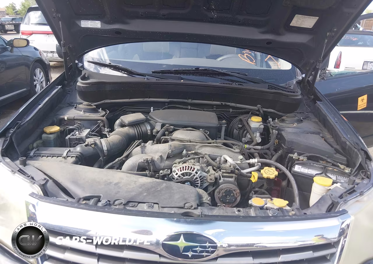 2010 Subaru Forester 2.5X Premium VIN:JF2SH6CC9AH734473 - 10