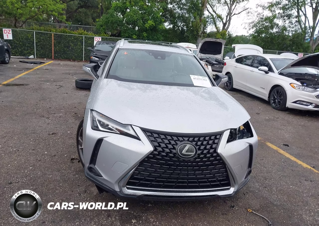 2020 Lexus Ux 200 VIN:JTHX3JBH9L2029759 - 13