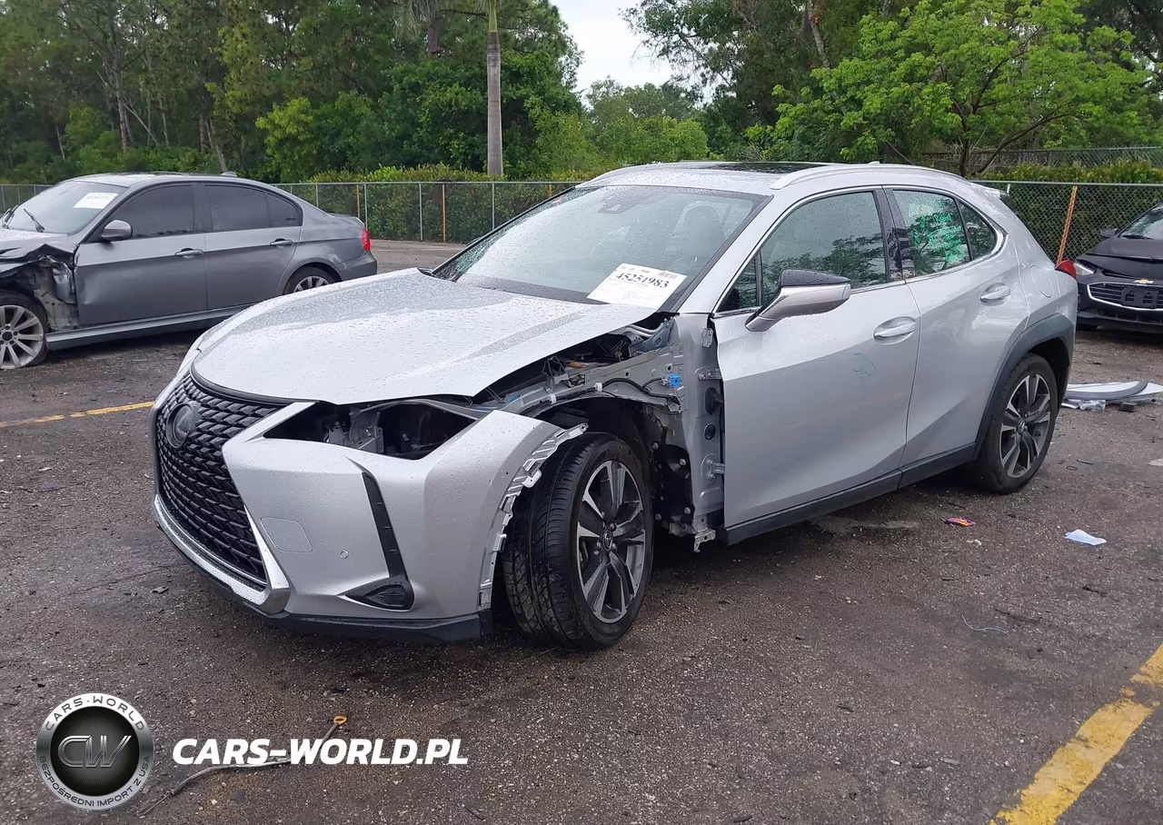 2020 Lexus Ux 200 VIN:JTHX3JBH9L2029759 - 2