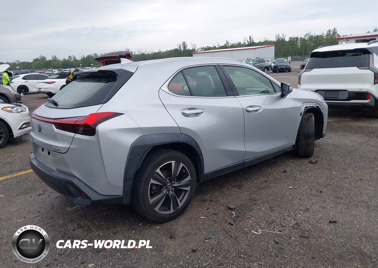 2020 Lexus Ux 200 VIN:JTHX3JBH9L2029759 - 4