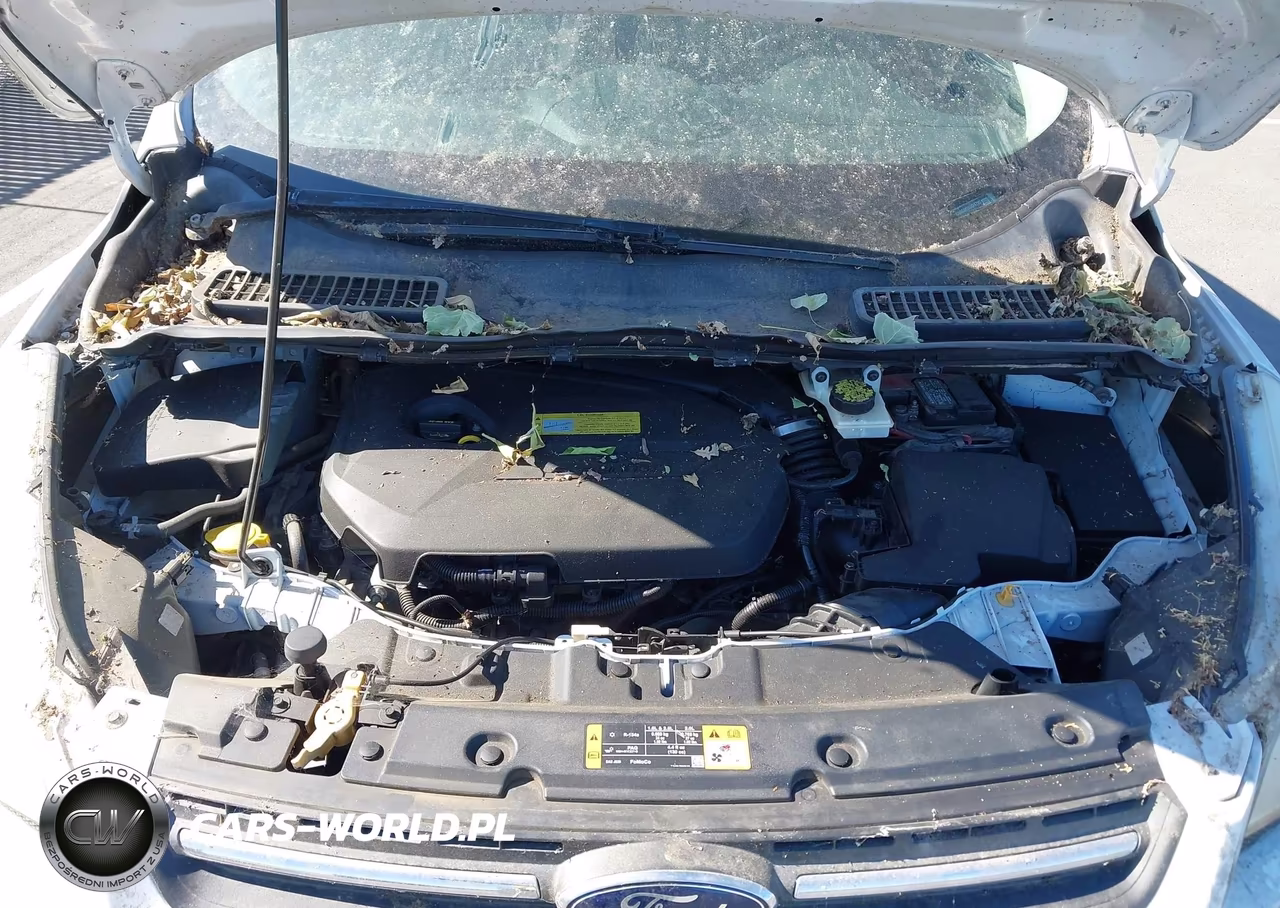 2013 Ford Escape Se VIN:1FMCU9GX8DUA11735 - 10
