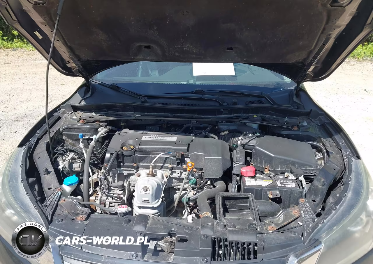 2013 Honda Accord Ex-L VIN:1HGCR2F82DA066496 - 10