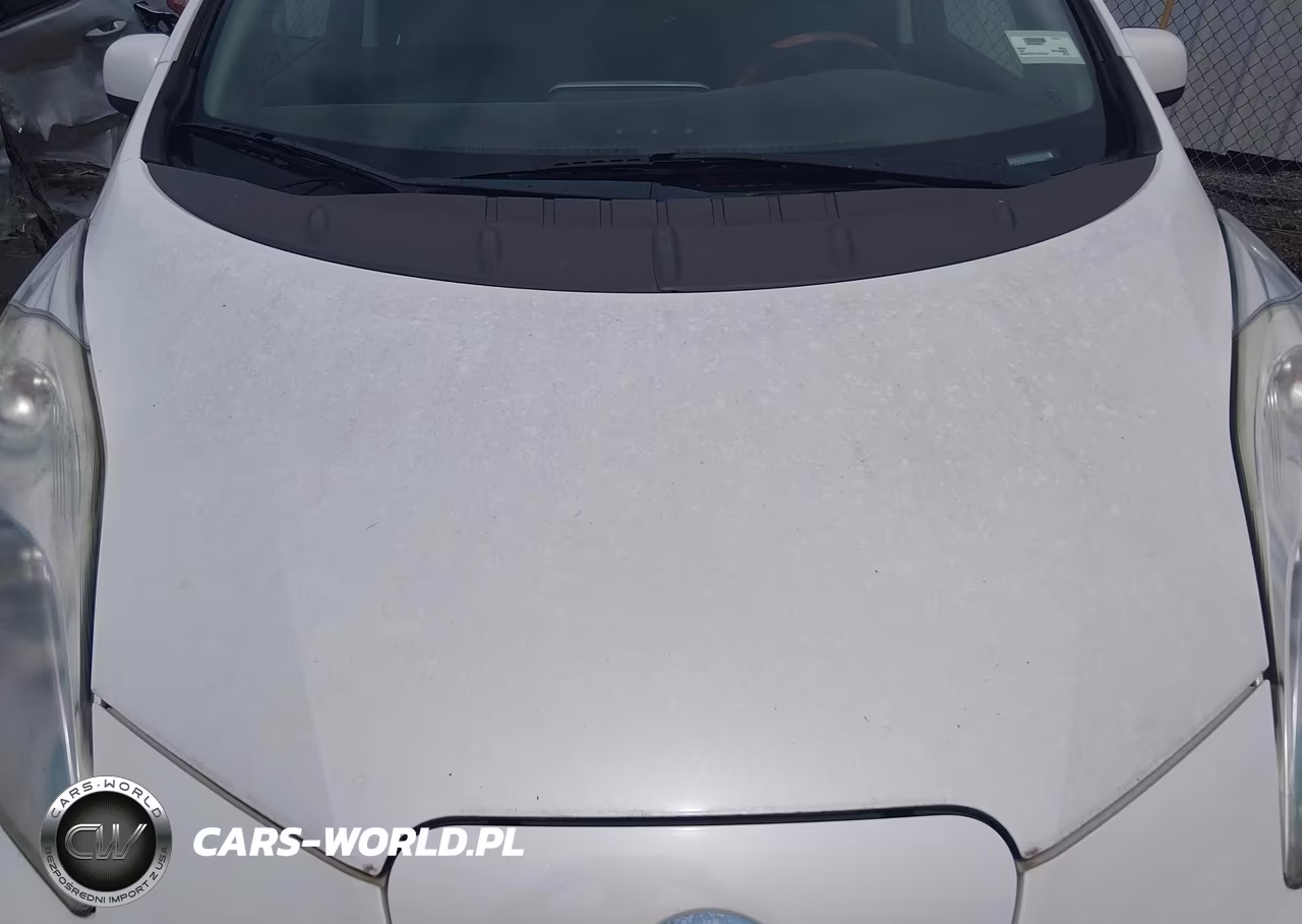 2015 Nissan Leaf S VIN:1N4AZ0CP1FC320251 - 10