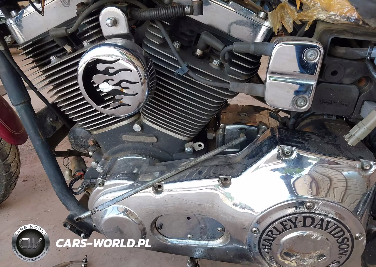 2004 Harley-Davidson Fxdli VIN:1HD1GNW194K313215 - 9
