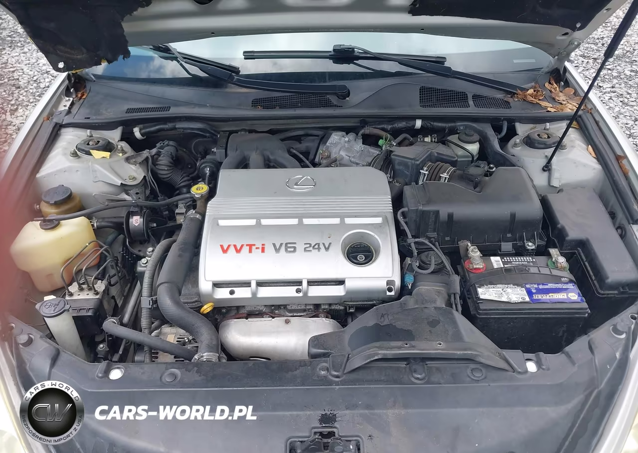 2003 Lexus Es 300 VIN:JTHBF30G736007551 - 10