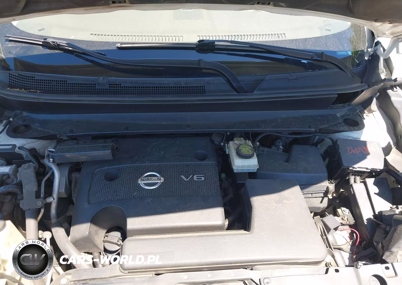 2013 Nissan Pathfinder Platinum VIN:5N1AR2MM8DC666462 - 10
